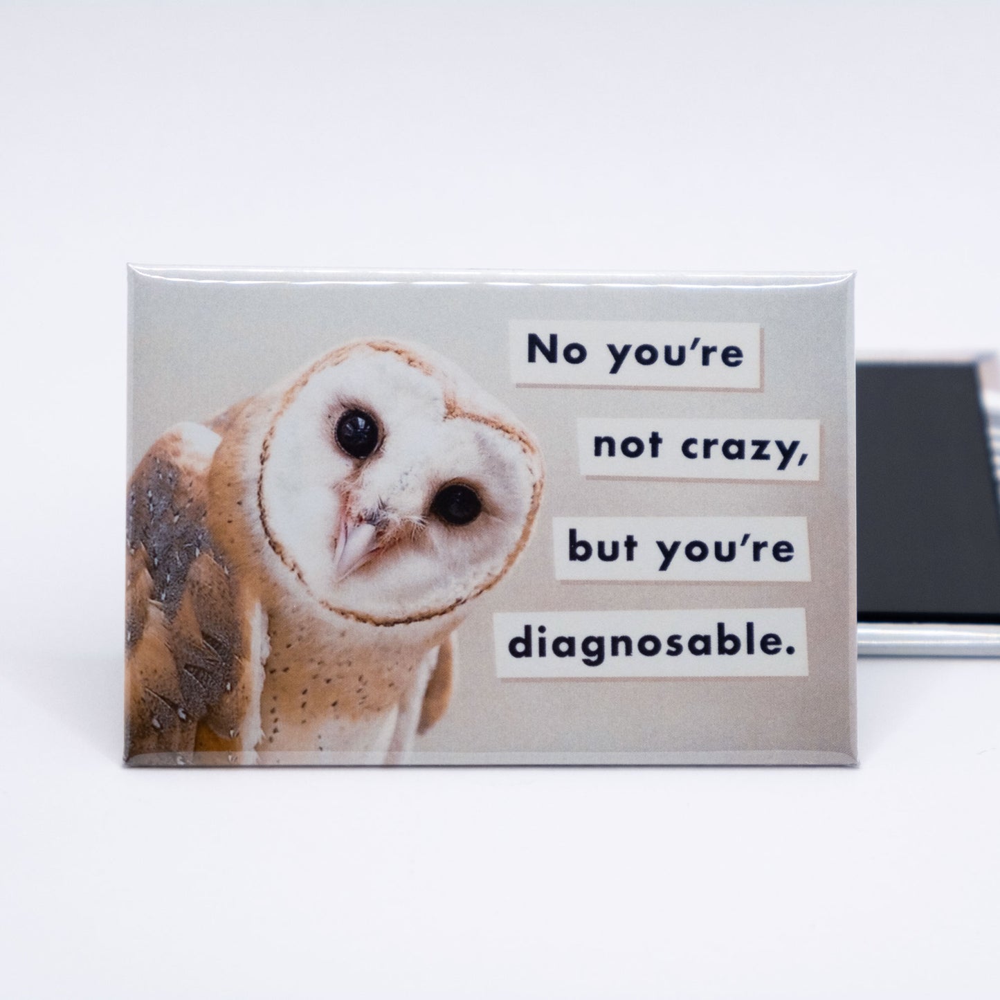 You're not crazy | Fridge Magnet