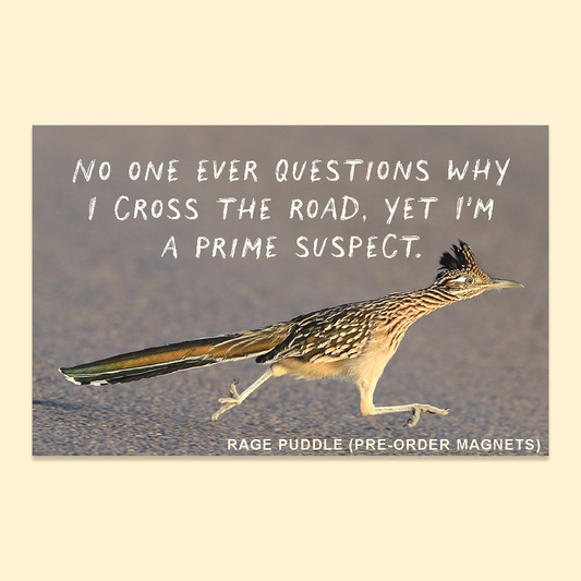 Roadrunner | Fridge Magnet